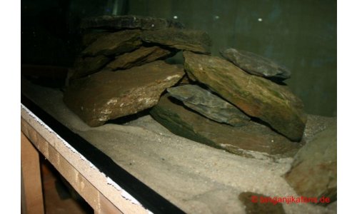 Schaubecken 900l 1
